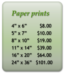 Paper prints 4 x 6         $8.00 5 x 7	  $10.00 8 x 10	  $19.00 11 x 14	  $39.00 16 x 20	  $64.00 24 x 36	 $101.00