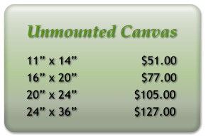 Unmounted Canvas 11 x 14                  $51.00 16 x 20                  $77.00 20 x 24                $105.00 24 x 36                $127.00