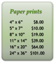 Paper prints 4” x 6”         $8.00 5” x 7”	  $10.00 8” x 10”	  $19.00 11” x 14”	  $39.00 16” x 20”	  $64.00 24” x 36”	 $101.00