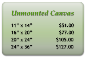 Unmounted Canvas 11” x 14”                  $51.00 16” x 20”                  $77.00 20” x 24”                $105.00 24” x 36”                $127.00